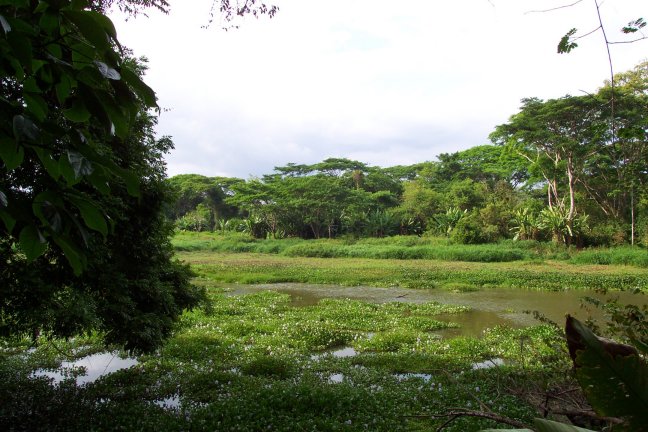 Carara Biological Reserve